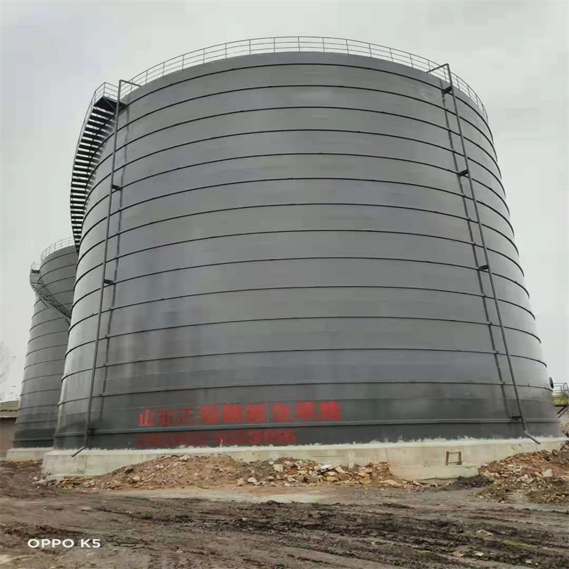 洛龙3万吨大型钢板库