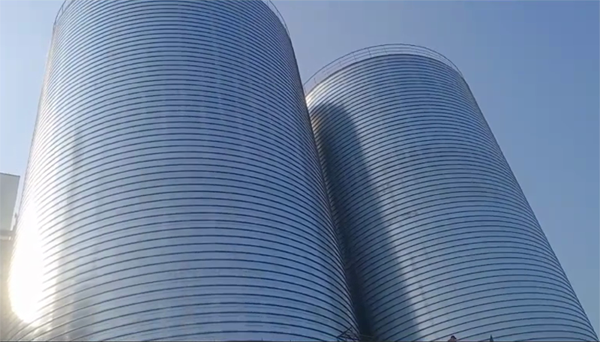 洛龙2座混凝土高架卷板仓